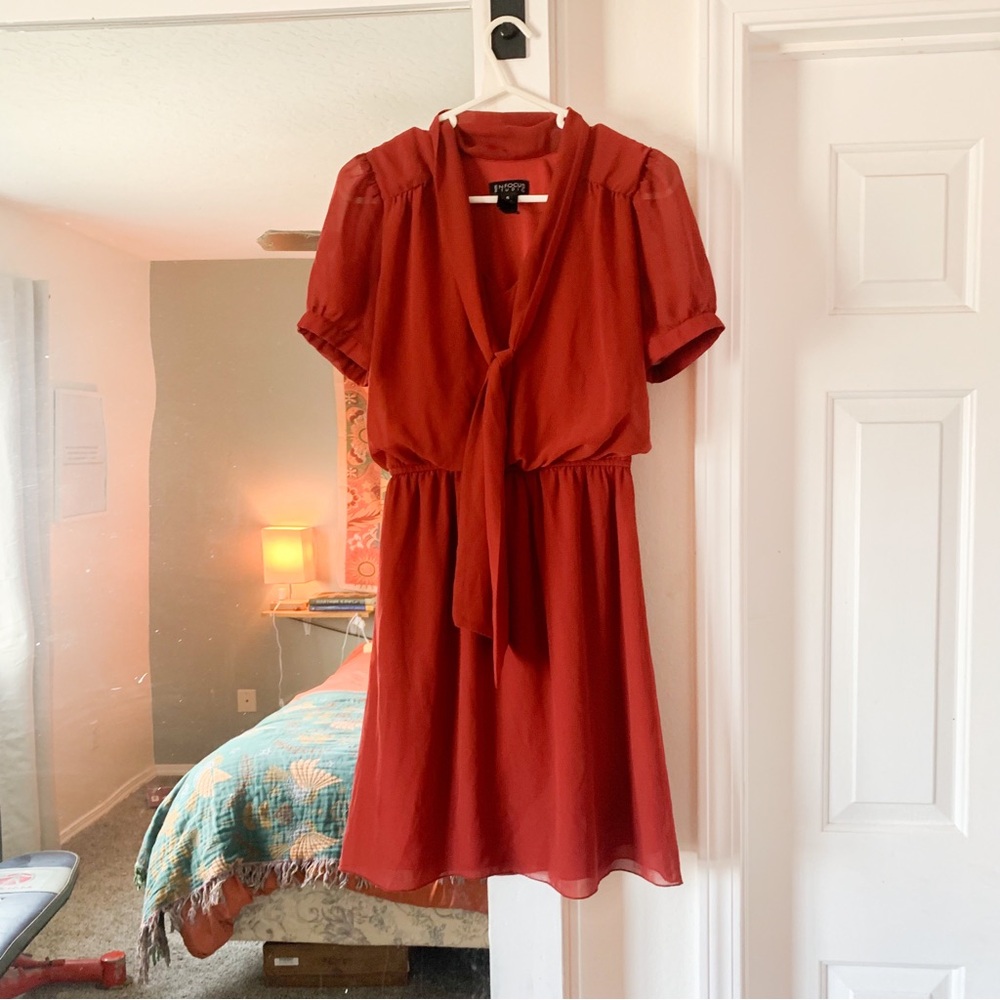 Enfocus Studio Burnt Orange Dress